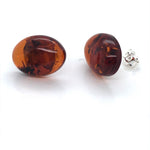 SS Amber Earrings