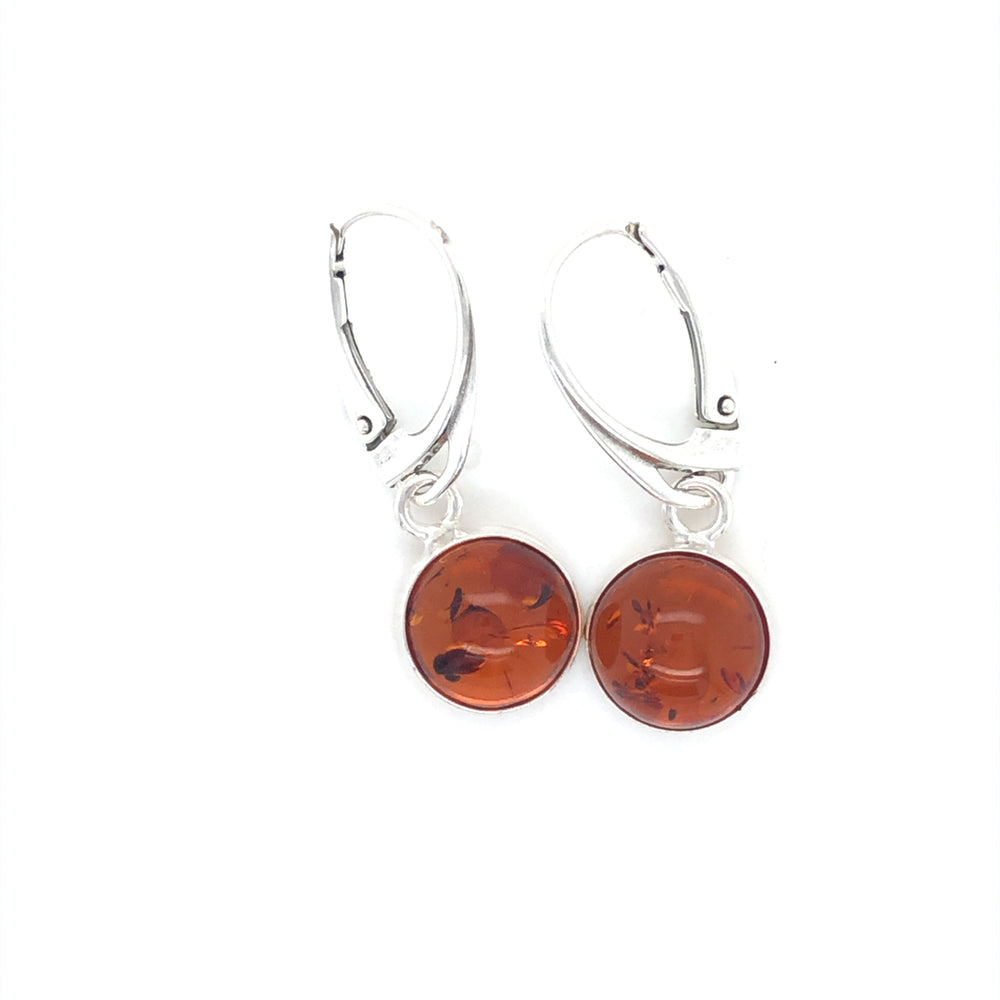 SS Amber Earring