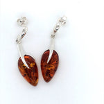 SS Amber Earrings
