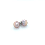 SS Freshwater Pearl Studs