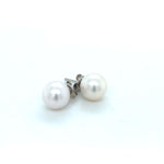 SS Pearl Studs