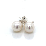 SS Pearl Studs