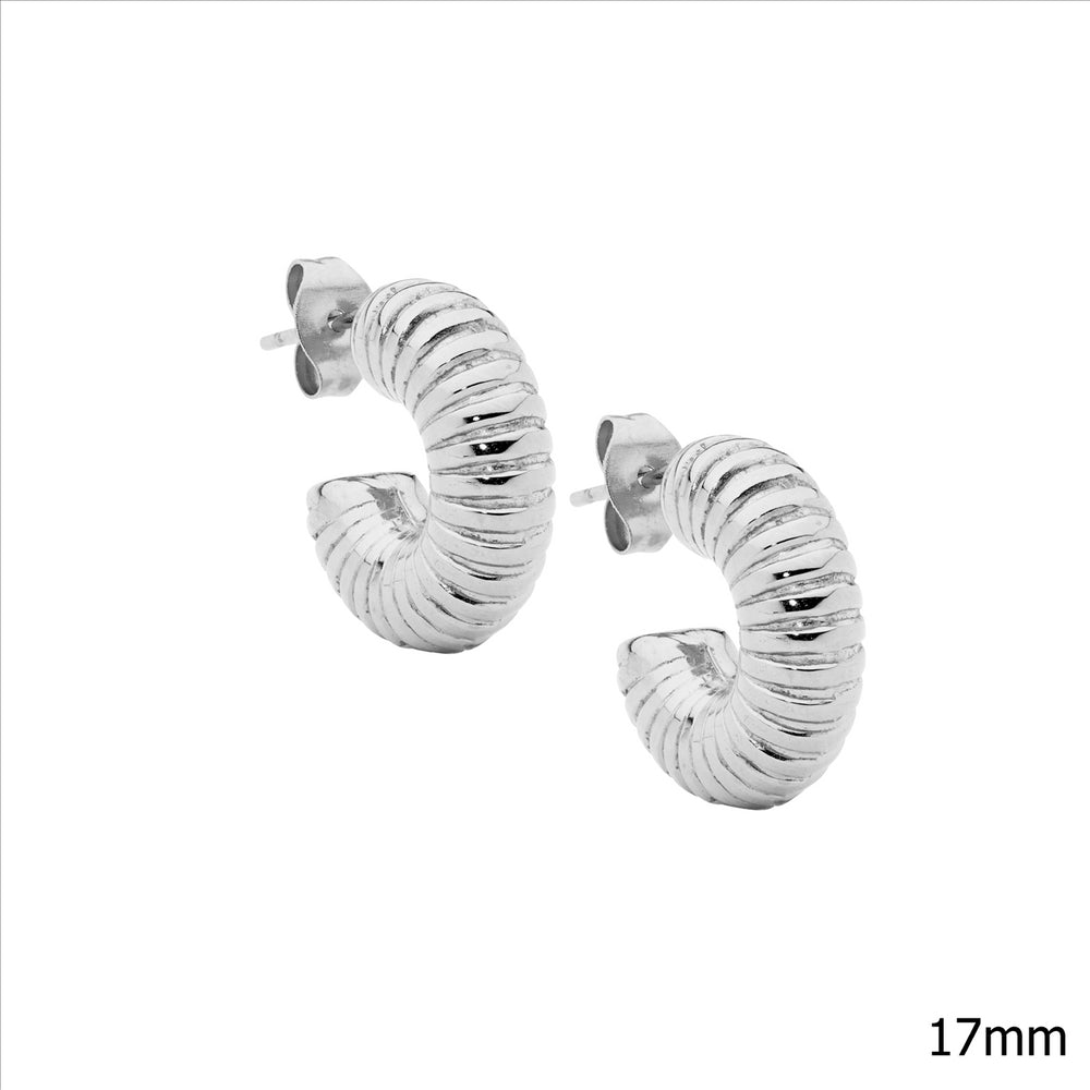 Stainless Steel Earrings