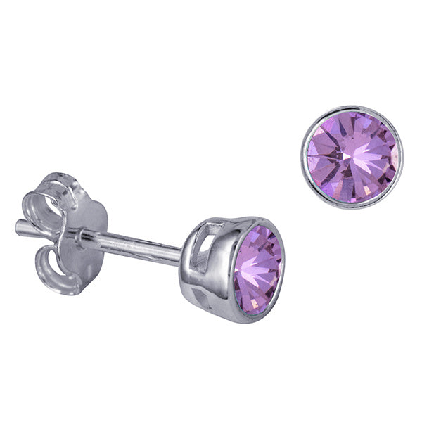 SS Birthstone Earrings - February