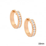 SS CZ RG/P Earrings