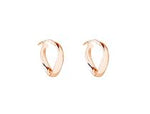 SS RG Plated Hoop Earring