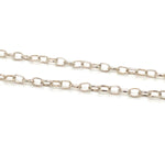 SS Belcher 45cm Chain