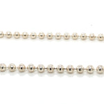 SS Ball 55cm Chain