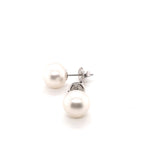 9ct WG Pearl Stud Earrings