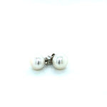 SS Freshwater Pearl Studs