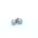 SS dyed grey button 8mm FWP studs