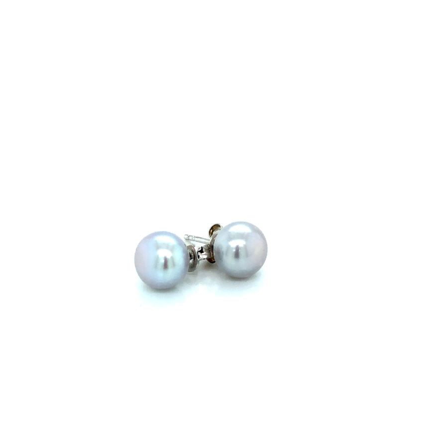 SS Dyed Grey Button Fwp Studs
