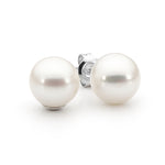 SS White Freshwater Pearl Studs