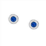 SS Blue & White CZ Earrings
